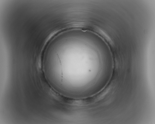 X0000114060883200910051214