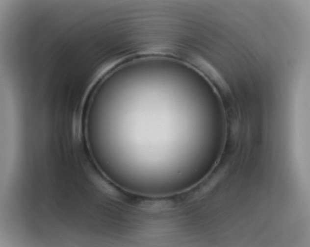 X0000114060884200910051214