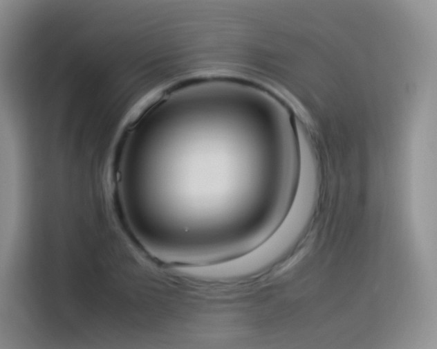 X0000114060885200910051214