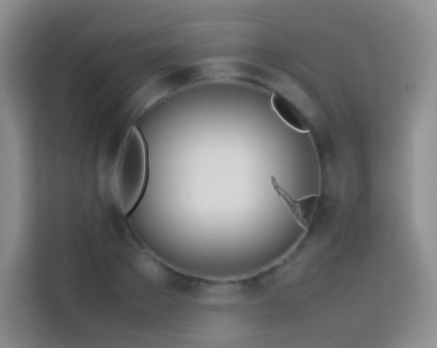 X0000114060889200910051214