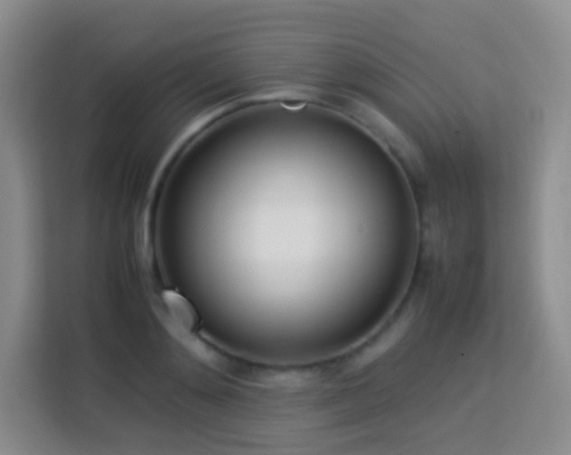 X0000114060892200910051214