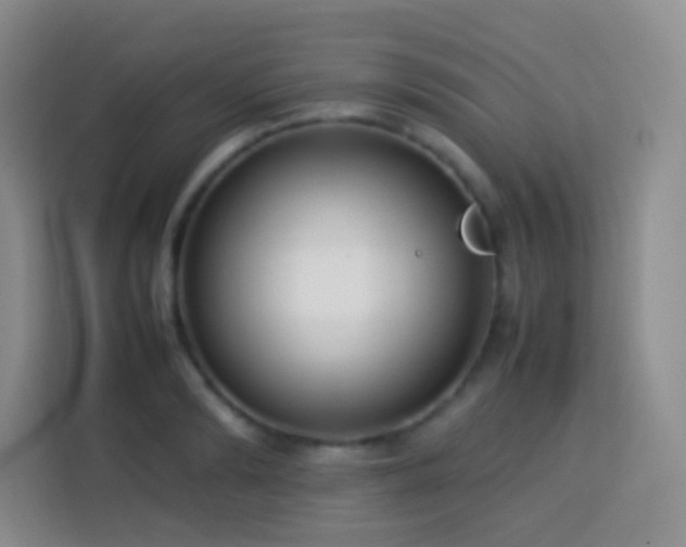 X0000114060894200910051214