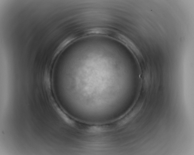X0000114060898200910051214