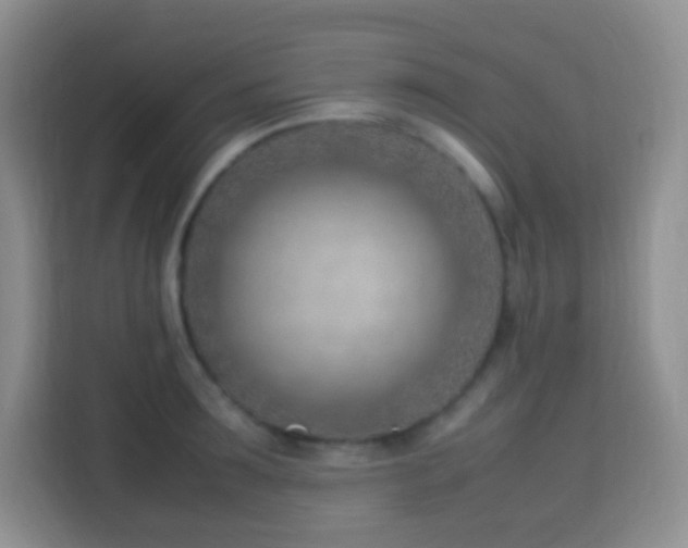 X0000114060899200910051214