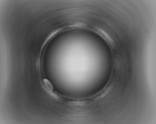 X0000114060900200910051214