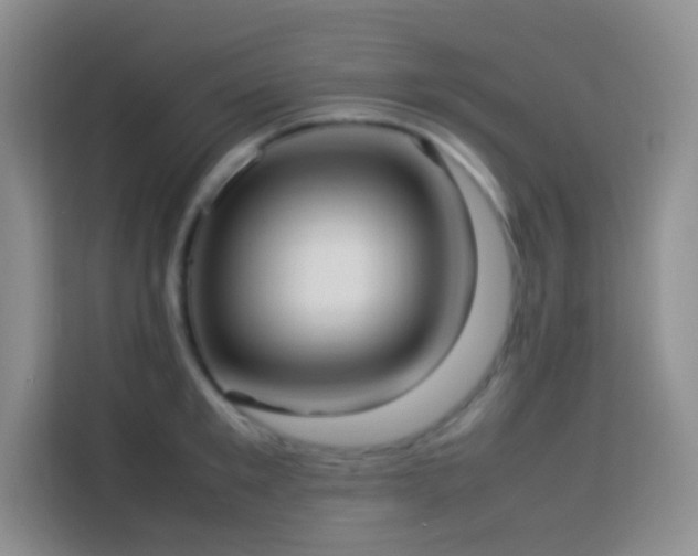 X0000114060901200910051214