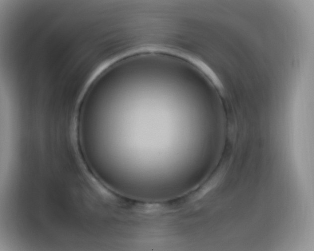 X0000114060903200910051214