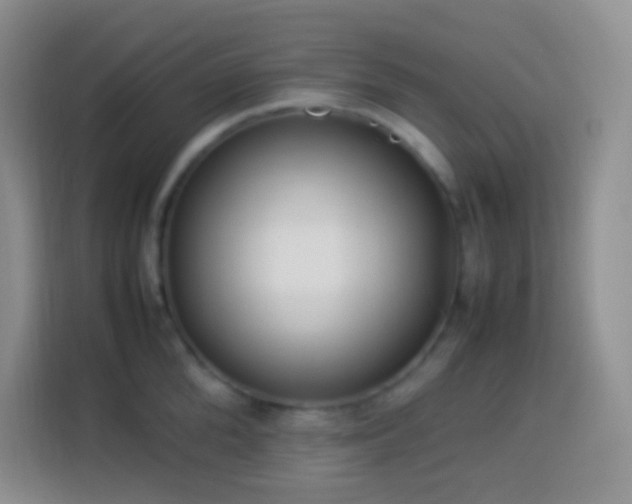 X0000114060904200910051214