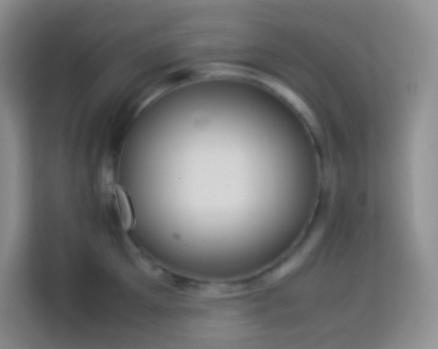 X0000114060905200910051214