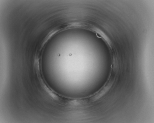 X0000114060906200910051214