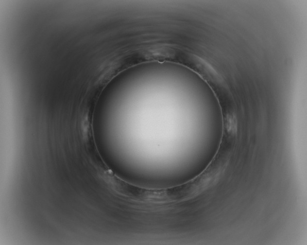 X0000114060915200910051213