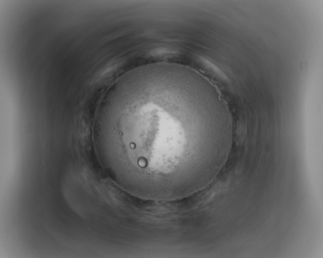 X0000114060917200910051213