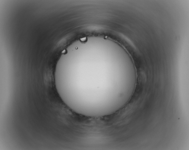 X0000114060918200910051213