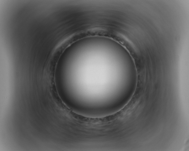 X0000114060919200910051213