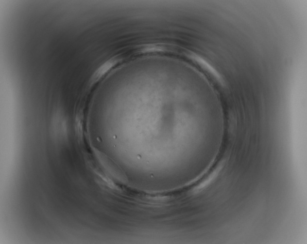 X0000114060921200910051213