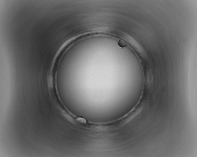X0000114060924200910051213