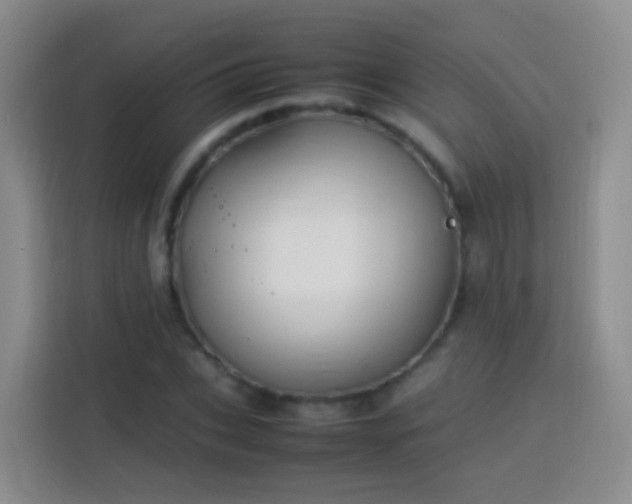 X0000114060927200910051213