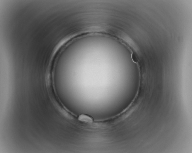 X0000114060928200910051213