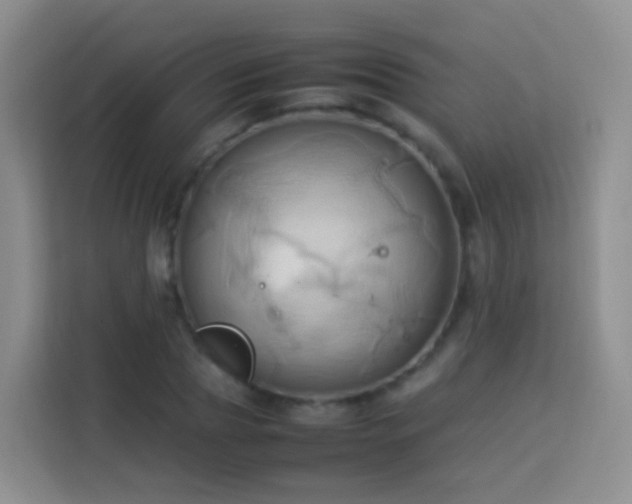 X0000114060929200910051213