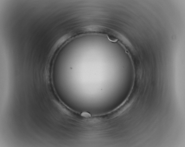 X0000114060930200910051213