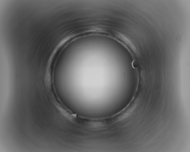 X0000114060931200910051213