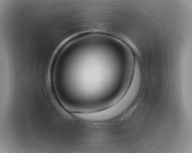 X0000114060932200910051213