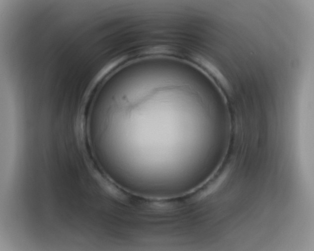 X0000114060933200910051213