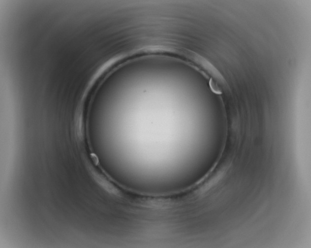 X0000114060934200910051214