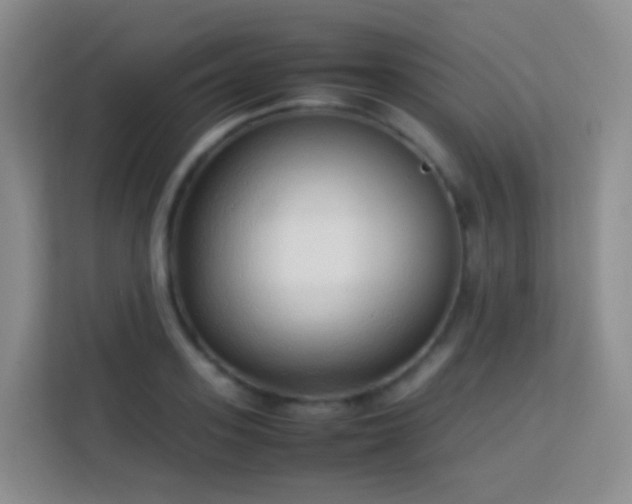 X0000114060939200910051214