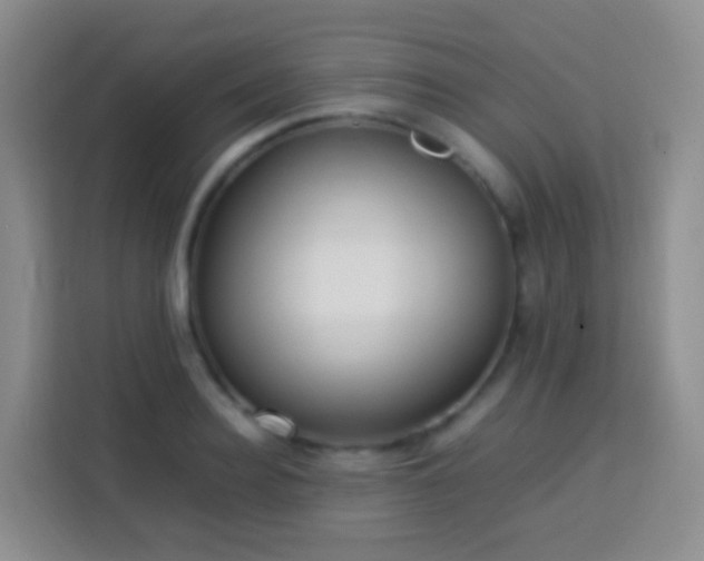 X0000114060940200910051214