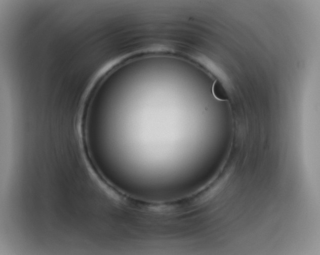 X0000114060943200910051214