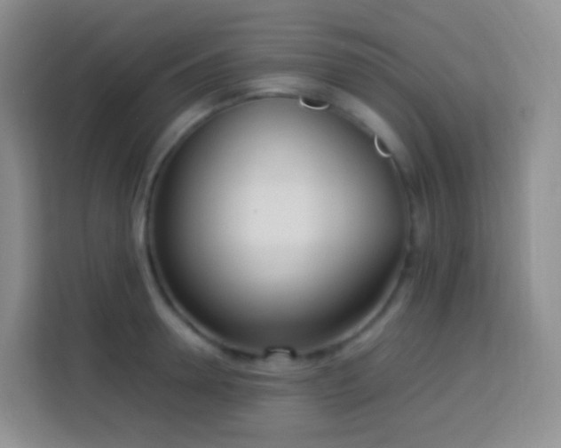 X0000114060946200910051214