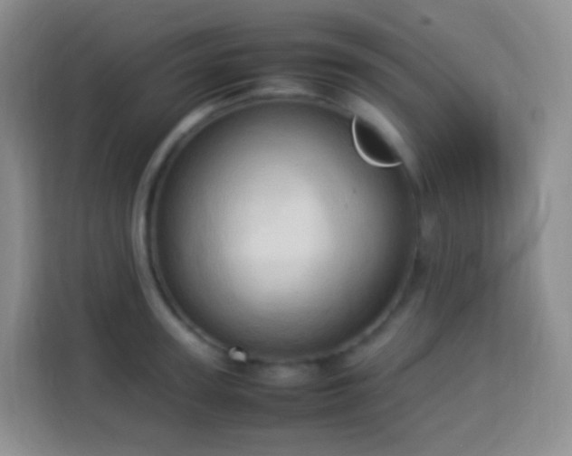 X0000114060947200910051214