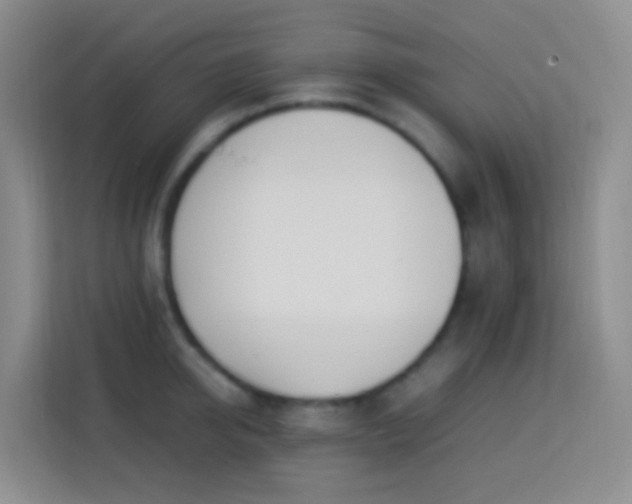 X0000114060950200910051214