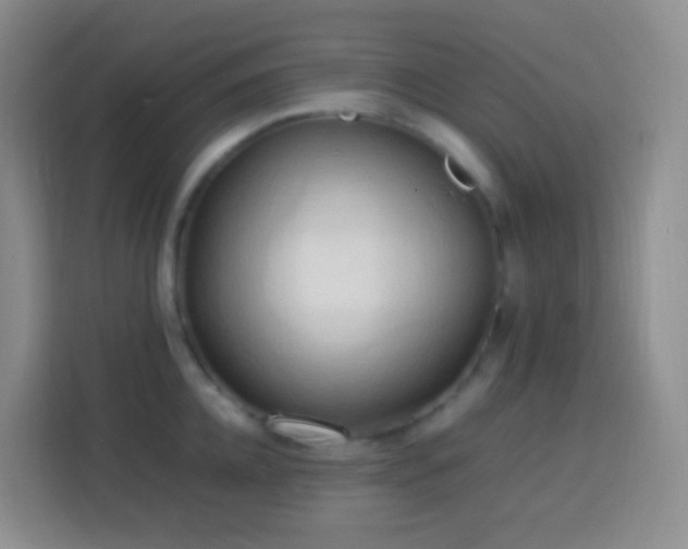 X0000114060952200910051214