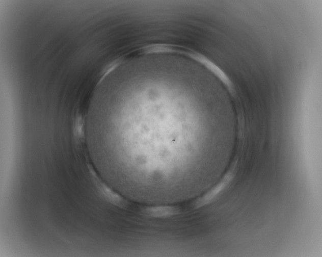 X0000114060953200910051214