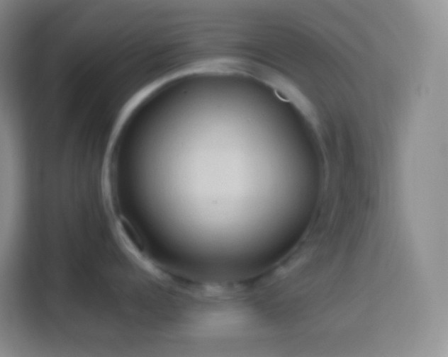 X0000114060960200910051214