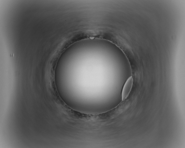 X0000114060961200910051213