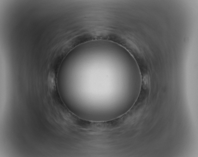 X0000114060963200910051213
