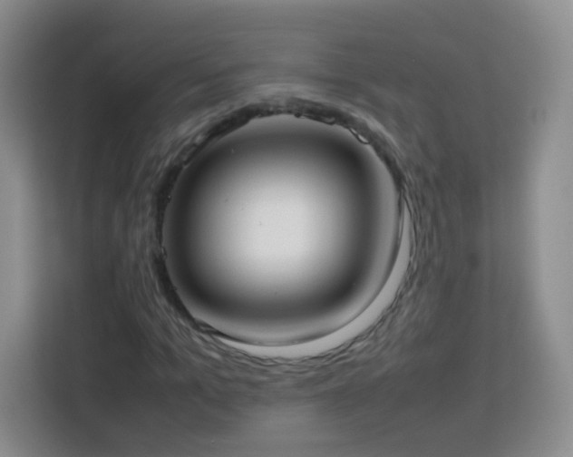X0000114060965200910051213