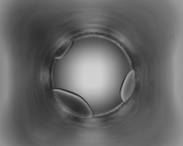 X0000114060969200910051213