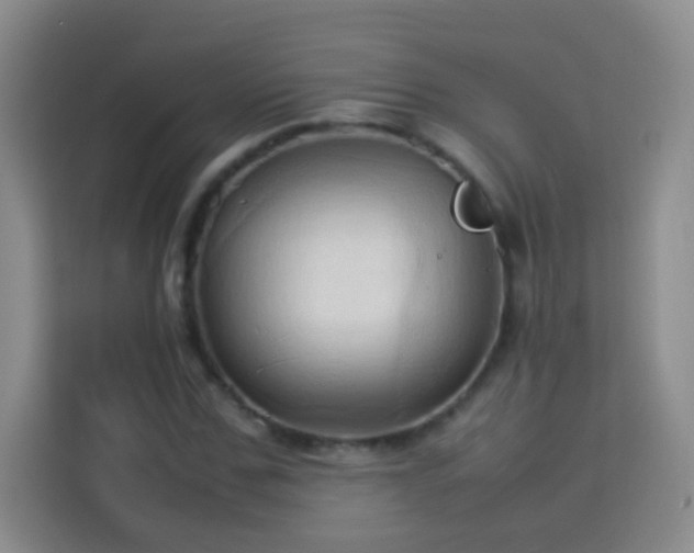 X0000114060971200910051213