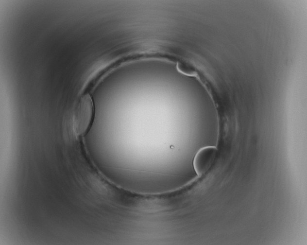 X0000114060973200910051213