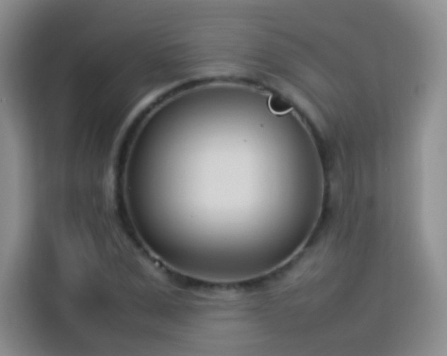 X0000114060975200910051213