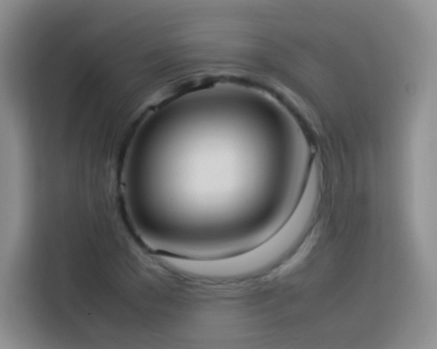 X0000114060977200910051213