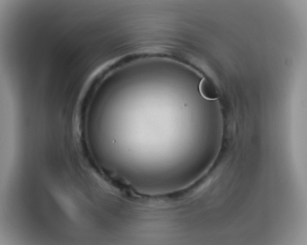 X0000114060979200910051213