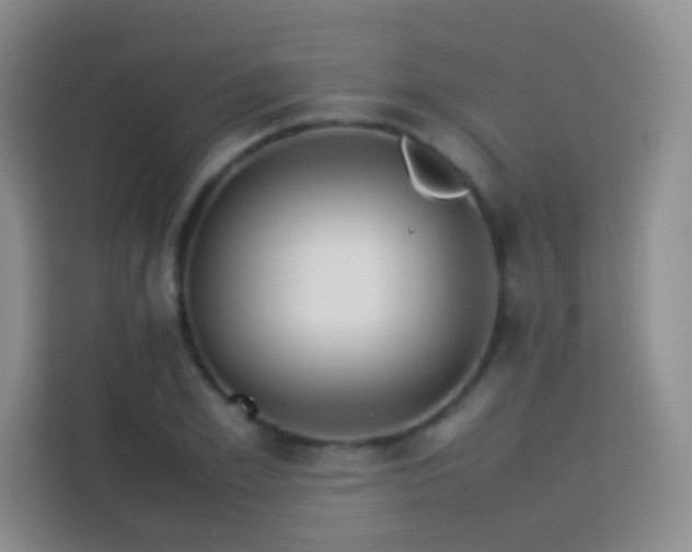 X0000114060981200910051213