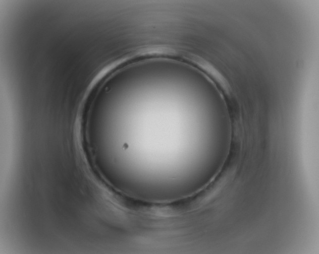 X0000114060983200910051213