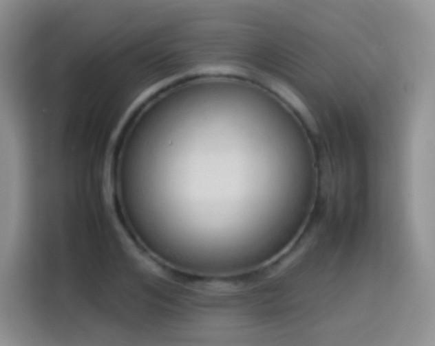 X0000114060984200910051213