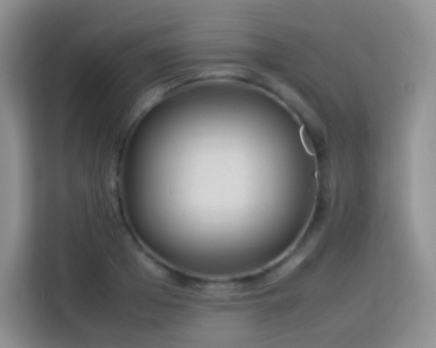 X0000114060985200910051213